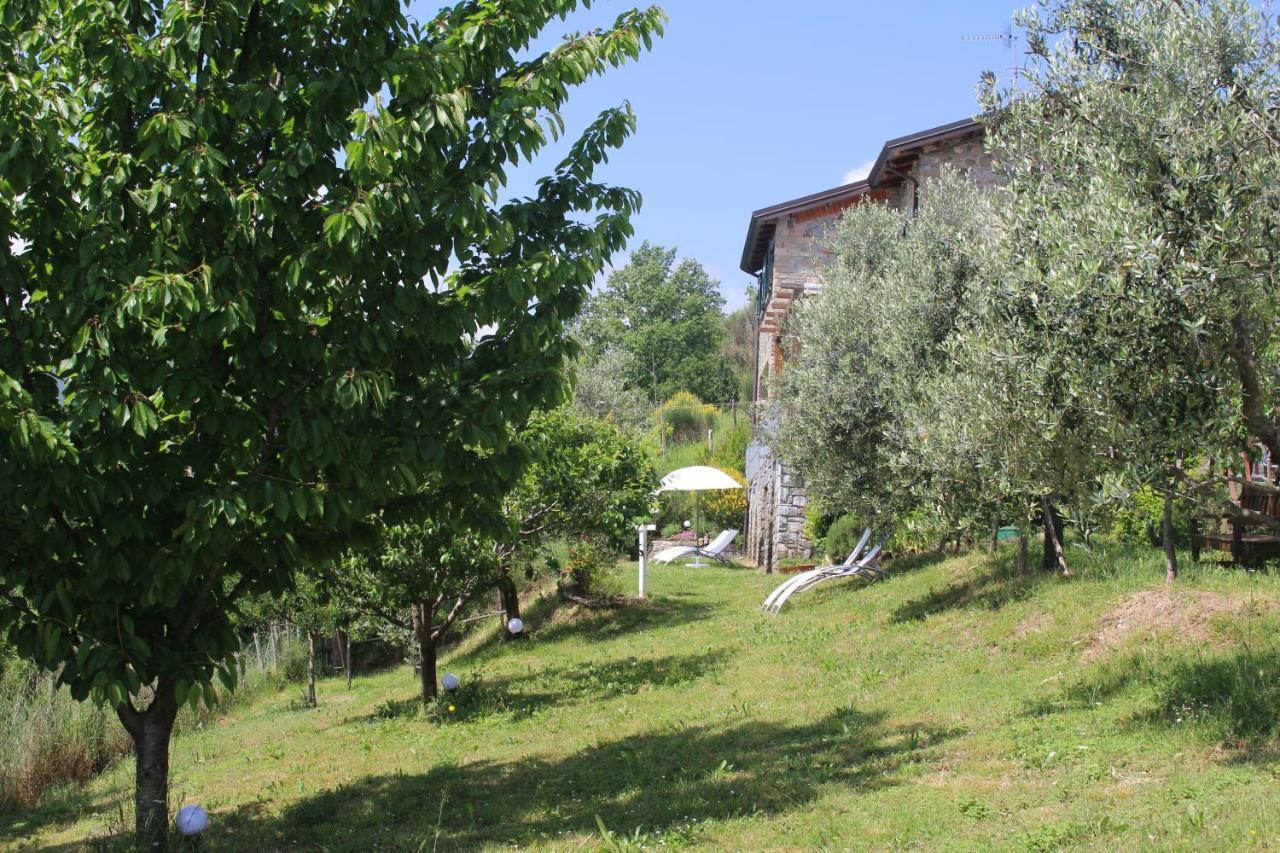 Agriturismo Angio Nel Cere Bracelli Exterior photo