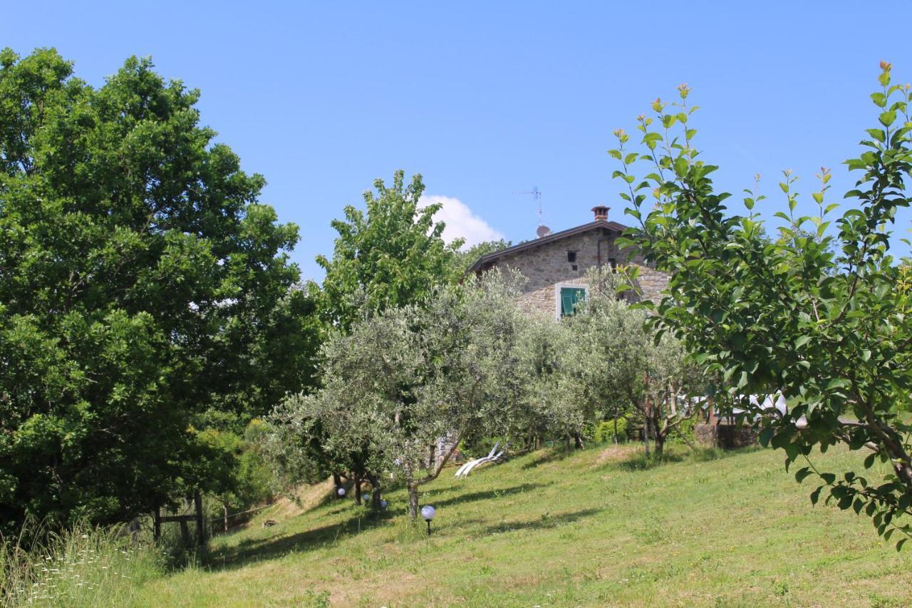 Agriturismo Angio Nel Cere Bracelli Exterior photo