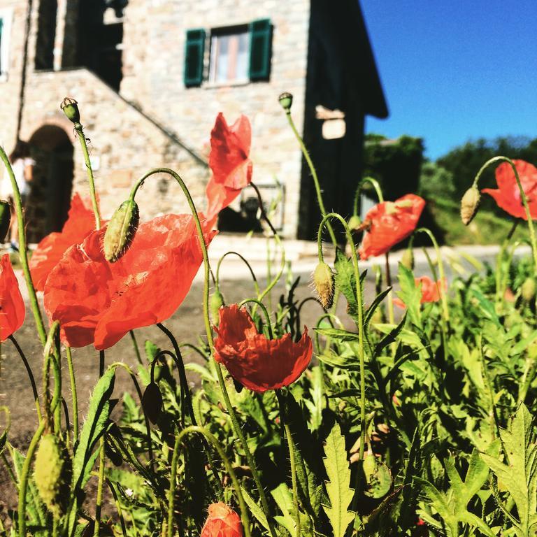 Agriturismo Angio Nel Cere Bracelli Exterior photo